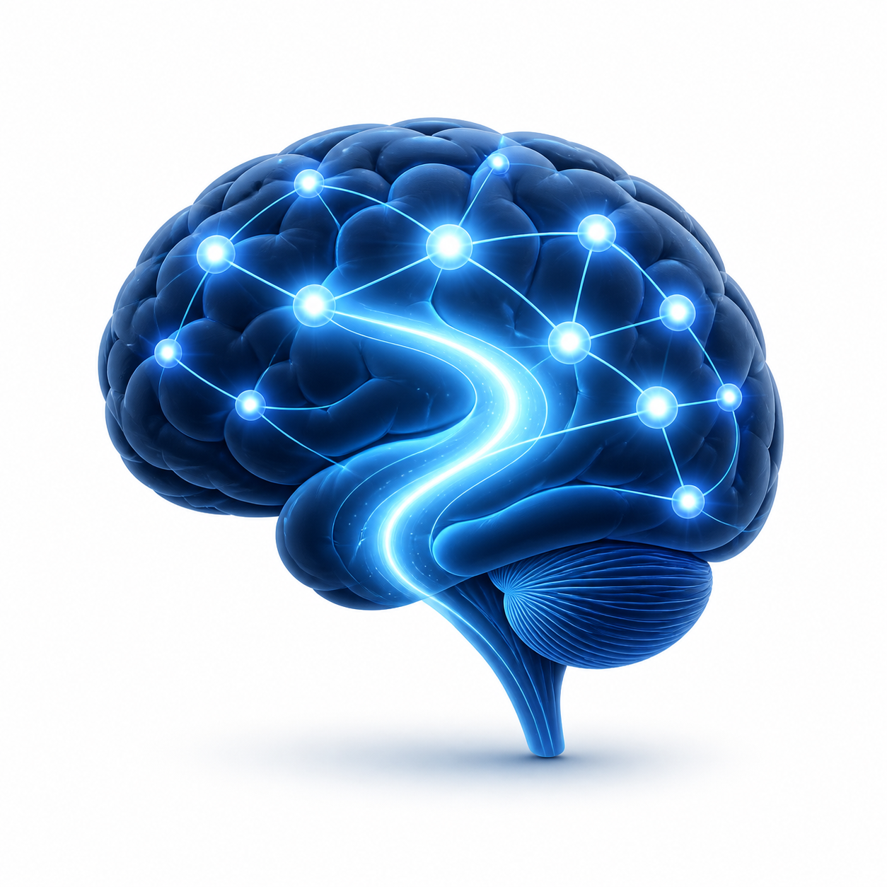 Brain illustration for clarity and cognition